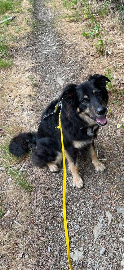 147. Foto Challenge: Bettelblick-Beitrag-Bild