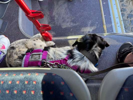 Was hat euch heute gefreut?-Beitrag-Bild