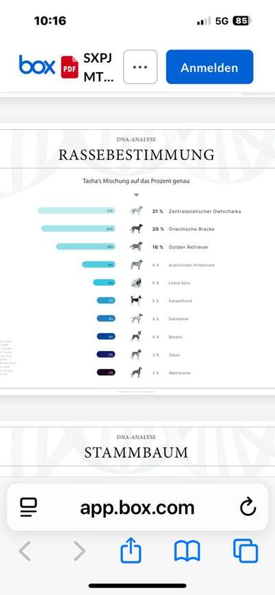 Gen-Test Empfehlungen-Beitrag-Bild