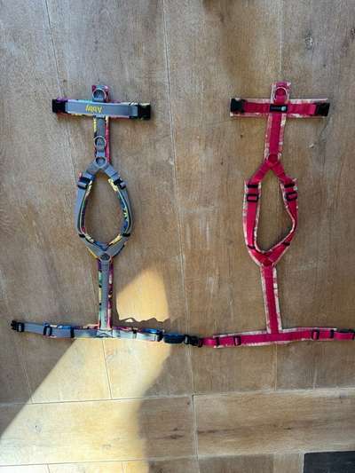 Erfahrungen mit Step-in-Geschirr-Beitrag-Bild