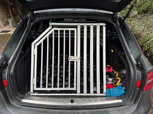 Welches Auto mit welchem Hund-Beitrag-Bild