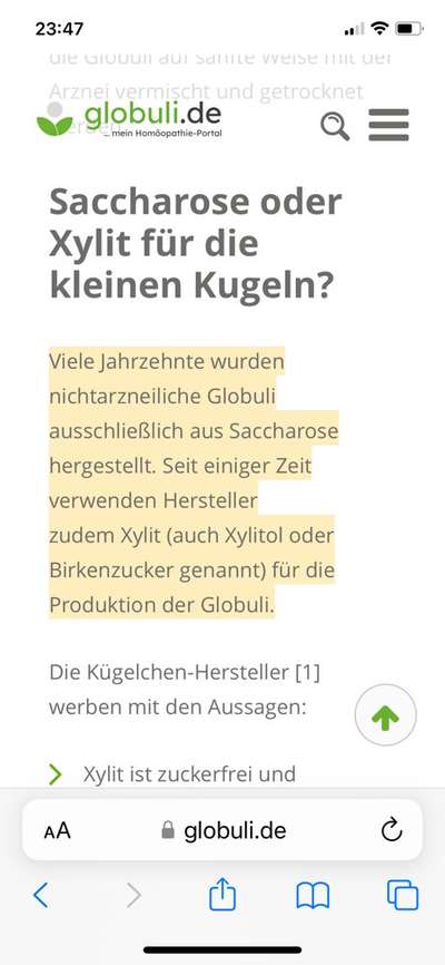 Zitzen bei Hündin wie bei Trächtigkeit-Beitrag-Bild