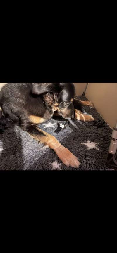 Freddys Kummerkasten-Beitrag-Bild