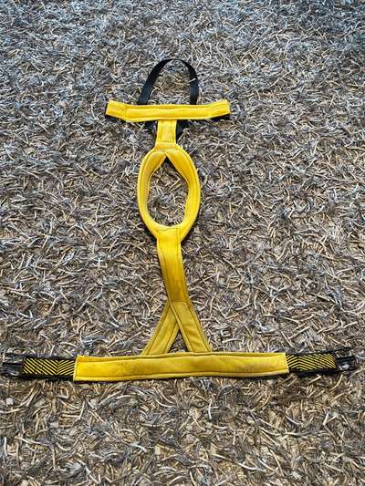 Wie sitzt mein Geschirr?-Beitrag-Bild