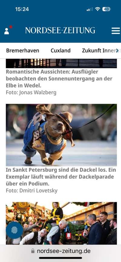 Große Dackel-Parade in Regensburg geplant - Was denkt ihr?-Beitrag-Bild