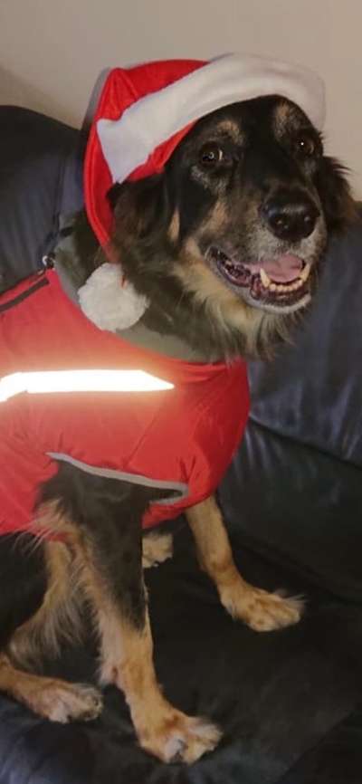 11. Farben Foto Challenge Rot-Beitrag-Bild