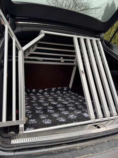 Welches Auto mit welchem Hund-Beitrag-Bild