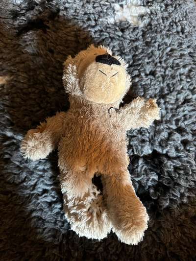 Freddys Kummerkasten-Beitrag-Bild