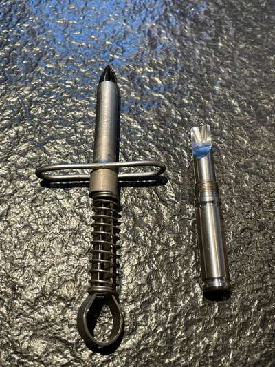 Zecken richtig entfernen-Beitrag-Bild