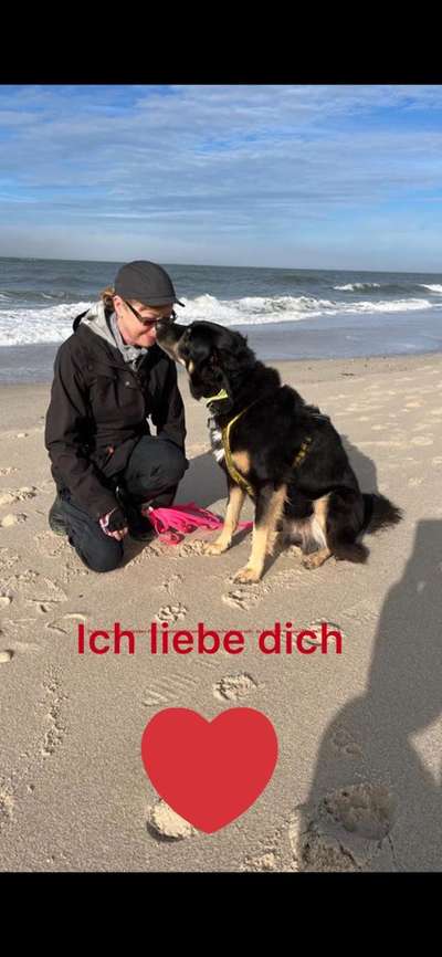 Fotowettbewerb "Liebeserklärung an deinen Hund!"-Beitrag-Bild