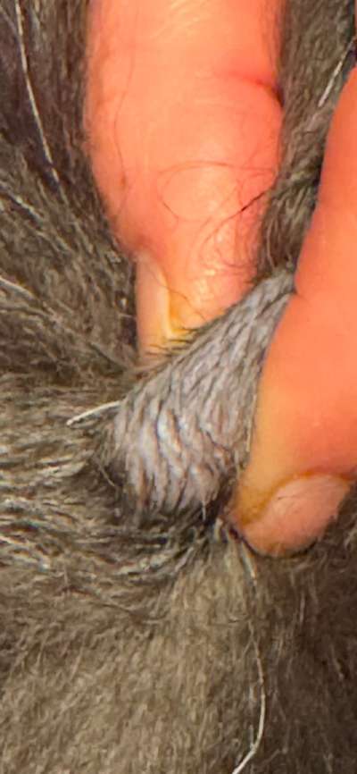 Schwellung verändert sich ständig-Beitrag-Bild