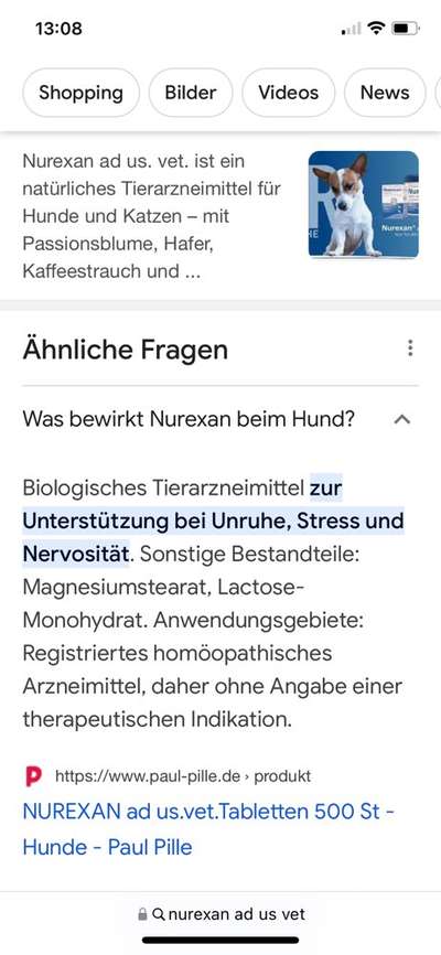 "Beruhigungsmittel" für Hunde-Beitrag-Bild