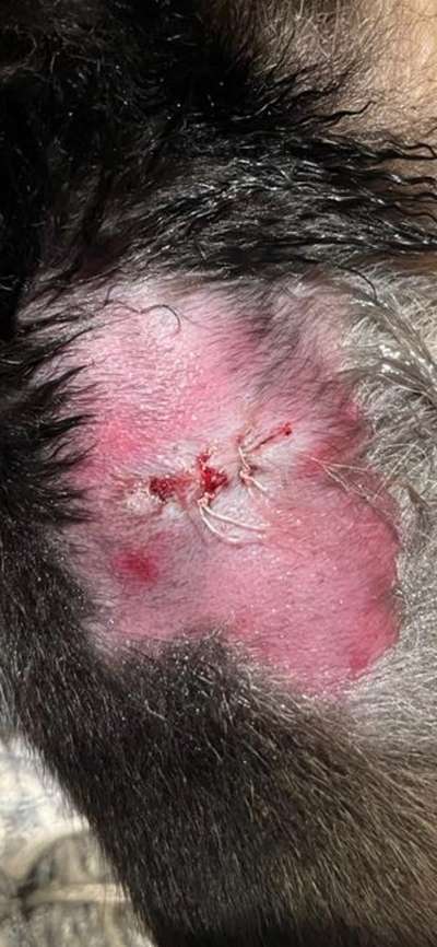 Offene Wunde Mundwinkel-Beitrag-Bild