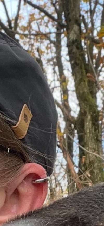 🤬😳Hundepiercings – Warum tut man sowas?!-Beitrag-Bild