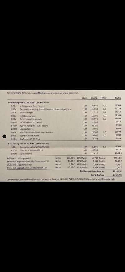 Gedächtnisverlust nach Kastration-Beitrag-Bild