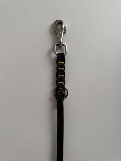 Qualitativ hochwertige Leine 3 - 5 m gesucht-Beitrag-Bild