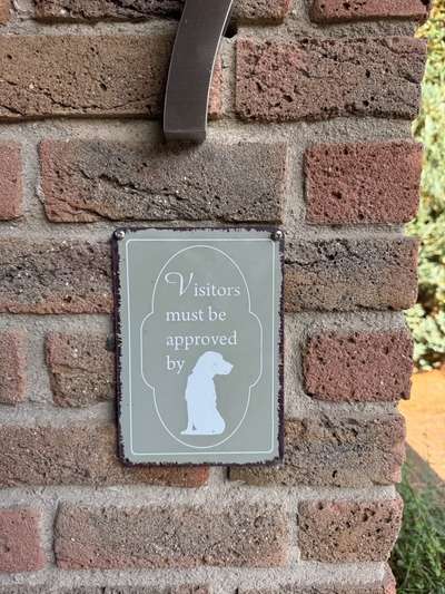 Freddys Kummerkasten-Beitrag-Bild