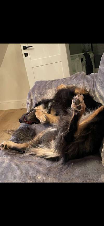 Foto Challenge Nr. 134-Beitrag-Bild