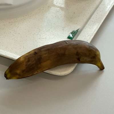 Was hat euch heute genervt?-Beitrag-Bild