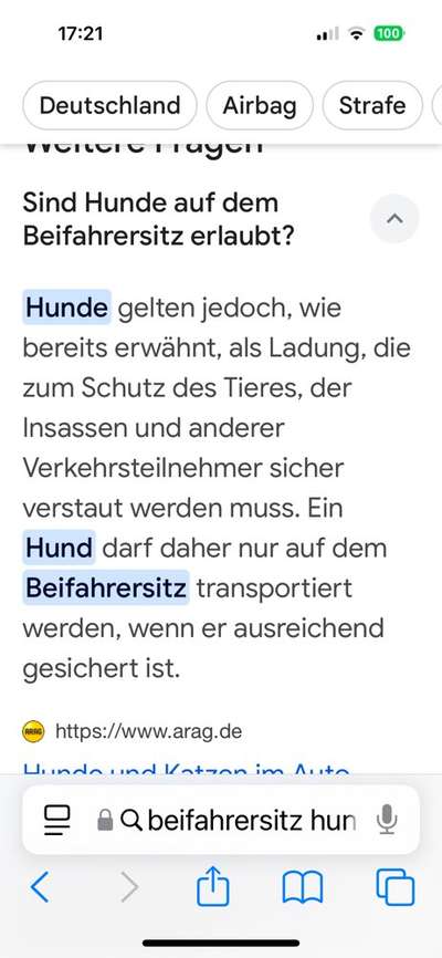 Welches Auto mit welchem Hund-Beitrag-Bild