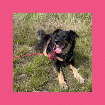 30. Farben Challenge - Pink-Beitrag-Bild