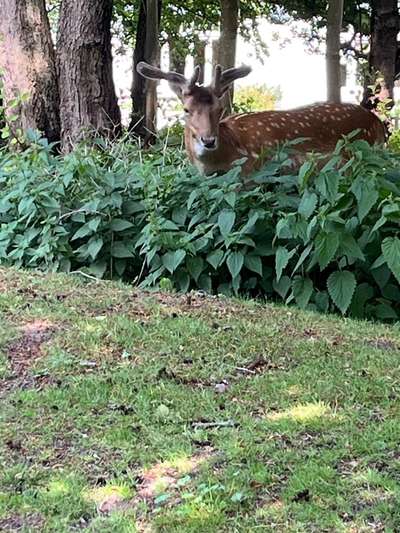 Was hat euch heute gefreut?-Beitrag-Bild