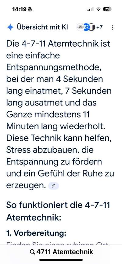 Toolbox zur Unterstützung gestresster Hunde-Beitrag-Bild