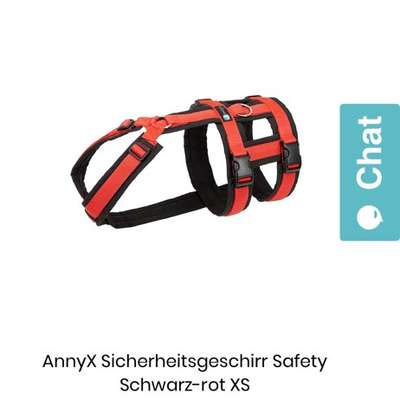 Panikgeschirr für Pomeranian-Mix-Beitrag-Bild