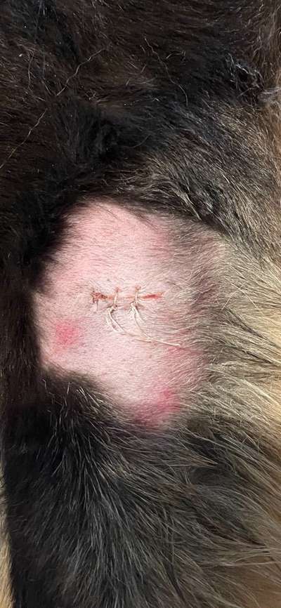 Offene Wunde Mundwinkel-Beitrag-Bild