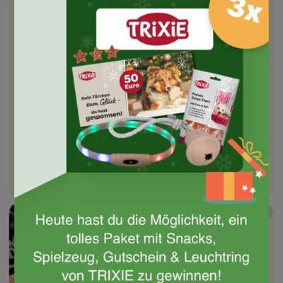 Dogorama Adventskalender-Beitrag-Bild