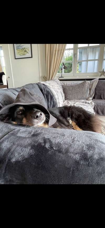 Freddys Kummerkasten-Beitrag-Bild