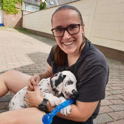 Hundetreffen-Hundefreundschaften gesucht-Profilbild