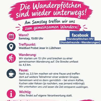 Hundetreffen-Hundetreffen Lübtheen-Bild