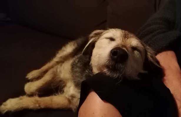 Foto Challenge Nr. 134-Beitrag-Bild