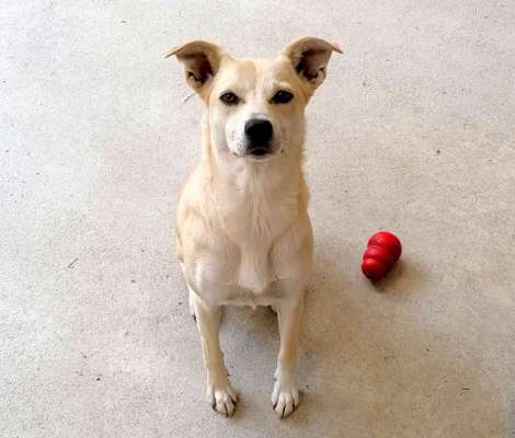 11. Farben Foto Challenge Rot-Beitrag-Bild