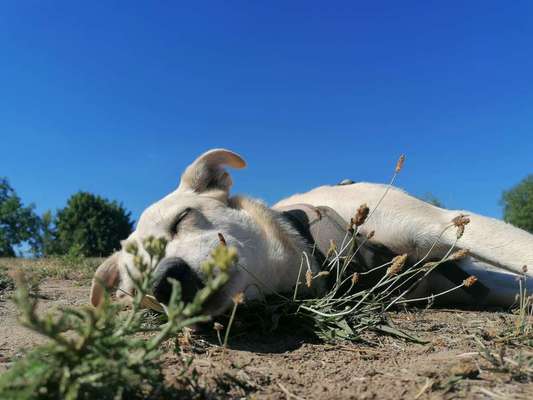 Foto Challenge Nr. 134-Beitrag-Bild