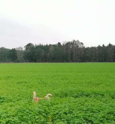 Foto Challenge Nr.135-Beitrag-Bild