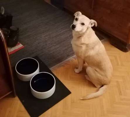 147. Foto Challenge: Bettelblick-Beitrag-Bild