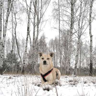 14. Farbenfoto-Challenge "Weiss"-Beitrag-Bild