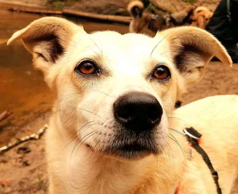 12. Farben Foto Challenge --- Braun-Beitrag-Bild