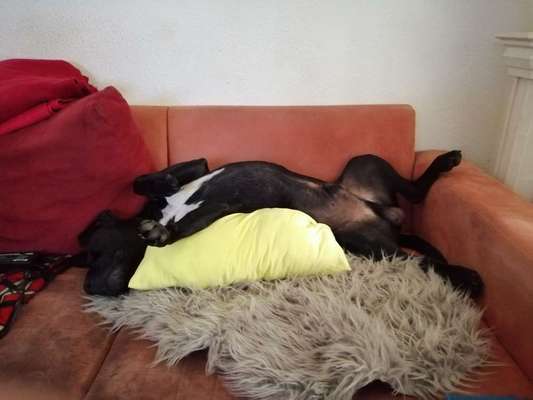 Die unbequemsten und lustigsten Schlafpositionen-Beitrag-Bild