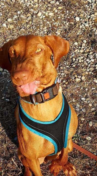 Fotochallenge 110: Lustige und schöne Schnappfotos-Beitrag-Bild