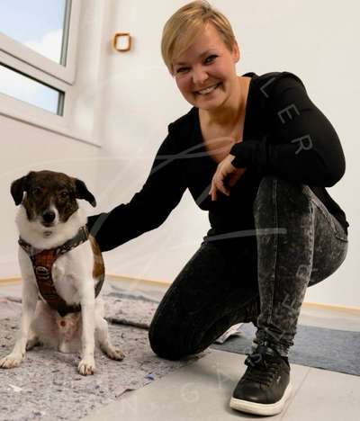 Hundetreffen-Hunderunde in Ahrensfelde-Bild