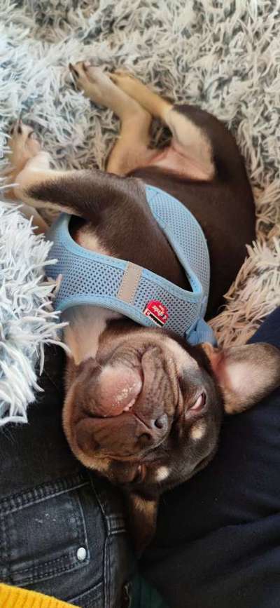 Die unbequemsten und lustigsten Schlafpositionen-Beitrag-Bild