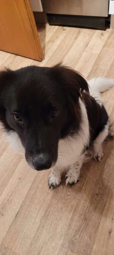 Fotochallange Nr. 57     PORTRÄT.   Beendet!!!!!!!!-Beitrag-Bild