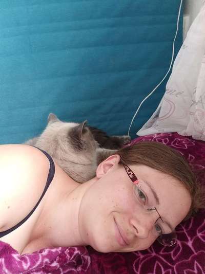 Hundegeschwister der anderen Art-Beitrag-Bild