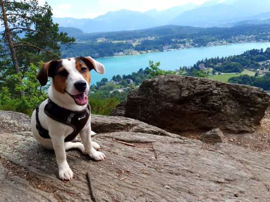 Urlaub in Kärnten - was muss ich beachten?-Beitrag-Bild