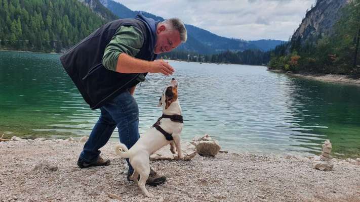 Dogorama Photo Challenge - Tierischer Urlaub-Beitrag-Bild