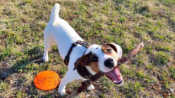 Lieblingsbild :D-Beitrag-Bild