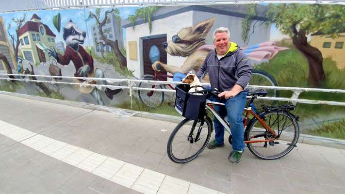 Fahrradtour mit dem Hund-Beitrag-Bild